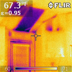animal droppins in insulation