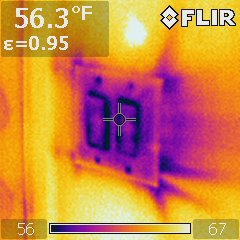 animal in insulation