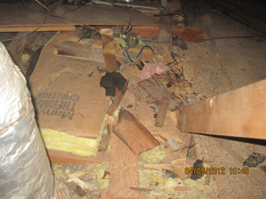 Trashed Attic