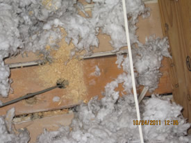 unsealed wall plates